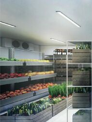 Ct Foodnex (D25), Factory #452393941